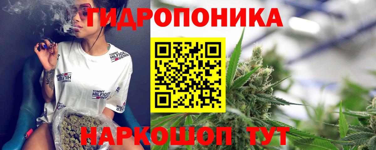 Новочеркасск  Канабис White Widow  Вход с VPN  Конопля семена  Конопля планчик 